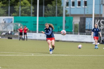 Bild 153 - wBJ Hamburger SV - FC Suederelbe : Ergebnis: 9:0